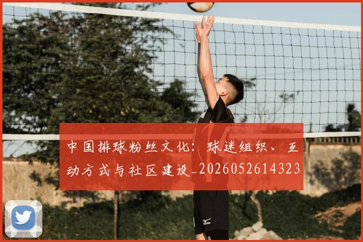 中国排球粉丝文化：球迷组织、互动方式与社区建设_20260526143235