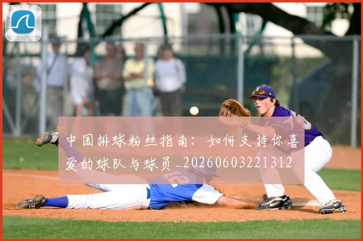 中国排球粉丝指南：如何支持你喜爱的球队与球员_20260603221312