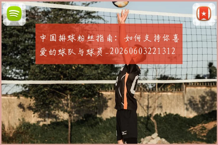 中国排球粉丝指南:如何支持你喜爱的球队与球员_20260603221312